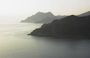 SUNTSE INTERNATIONAL - Consulting STIC - [Conseil en stratgie]