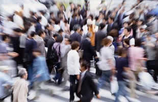 SUNTSE INTERNATIONAL - Consulting STIC - [Conseil en stratgie]